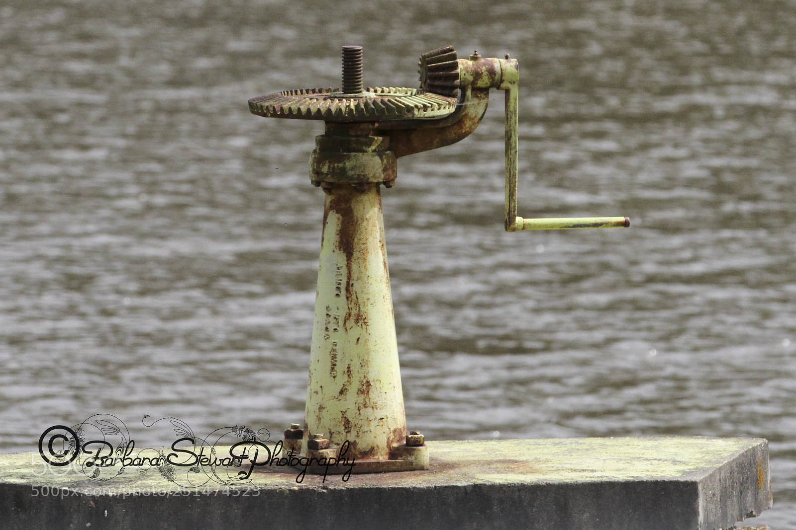 Canon EOS 7D sample photo. Nature in spring photography