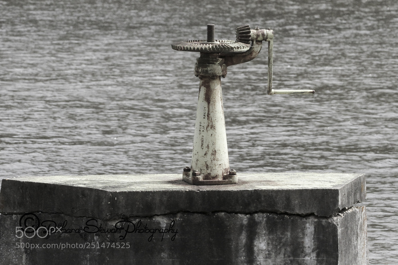 Canon EOS 7D sample photo. Nature in spring photography