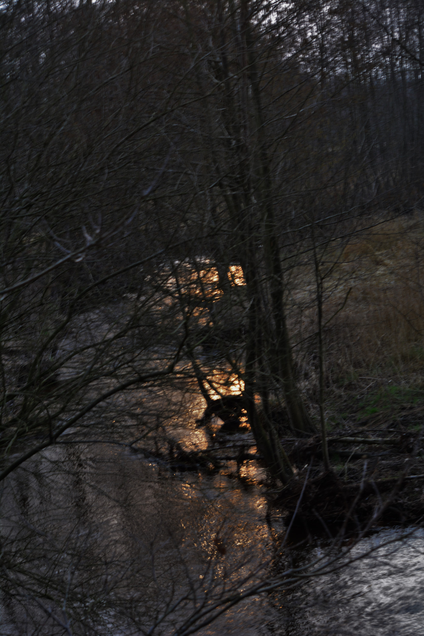 Nikon D5200 sample photo. Am bach photography