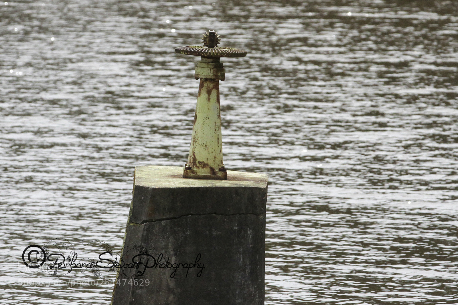Canon EOS 7D sample photo. Nature in spring photography