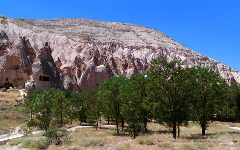 Samsung NX30 sample photo. ... photography