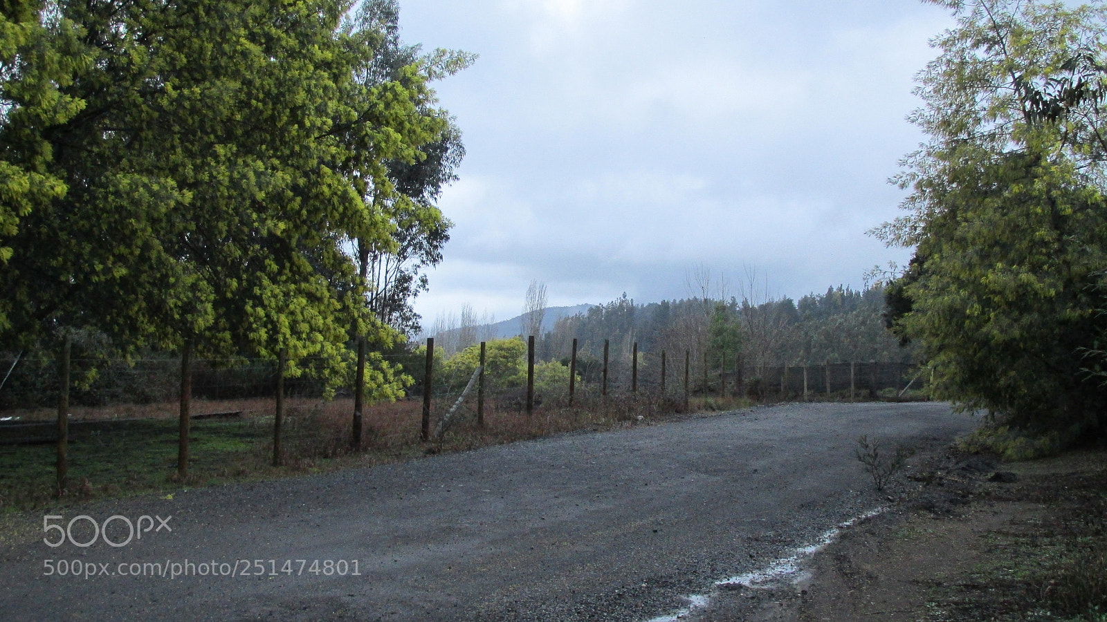 Canon PowerShot SX170 IS sample photo. Img photography