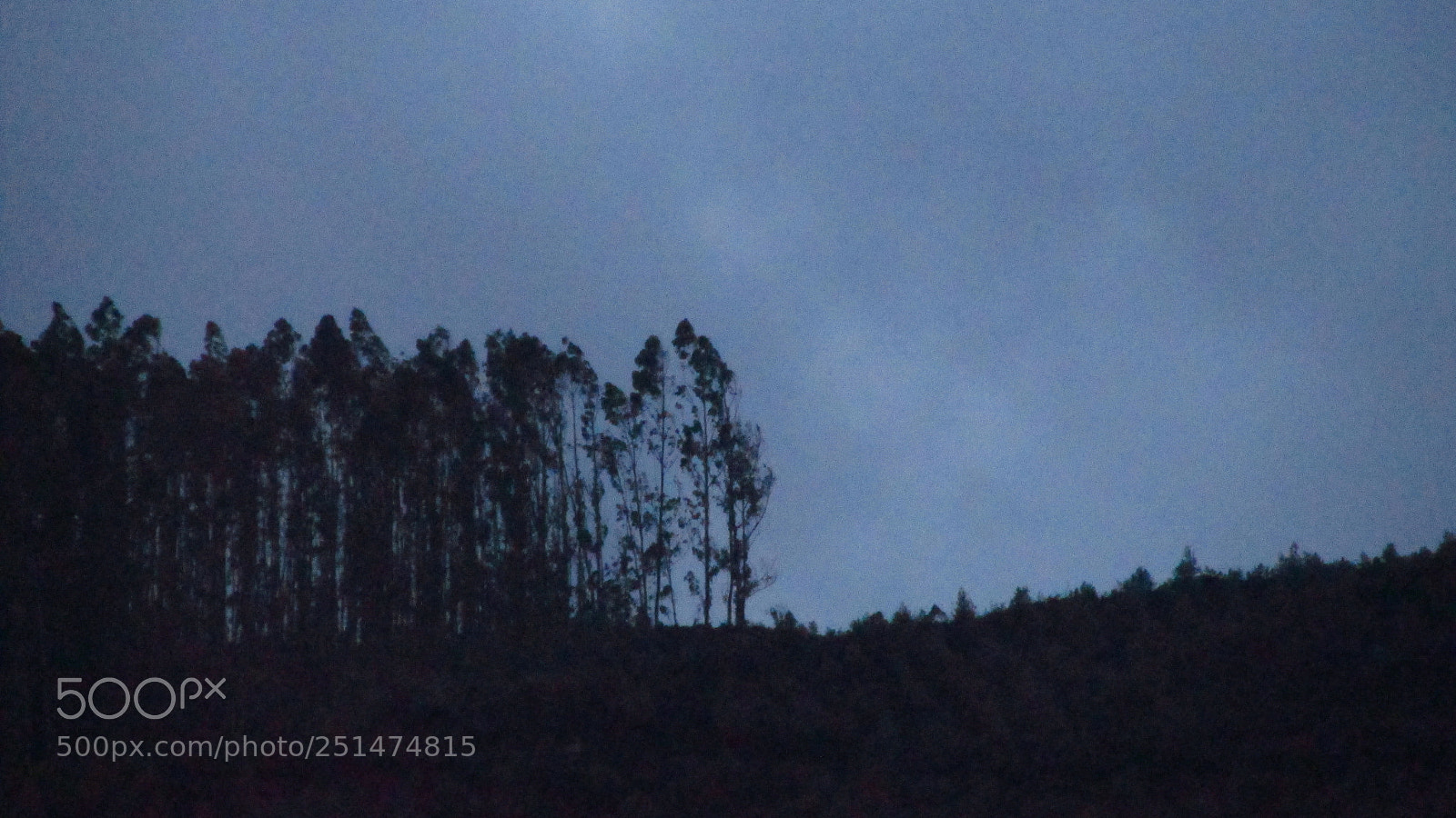 Canon PowerShot SX170 IS sample photo. Img photography