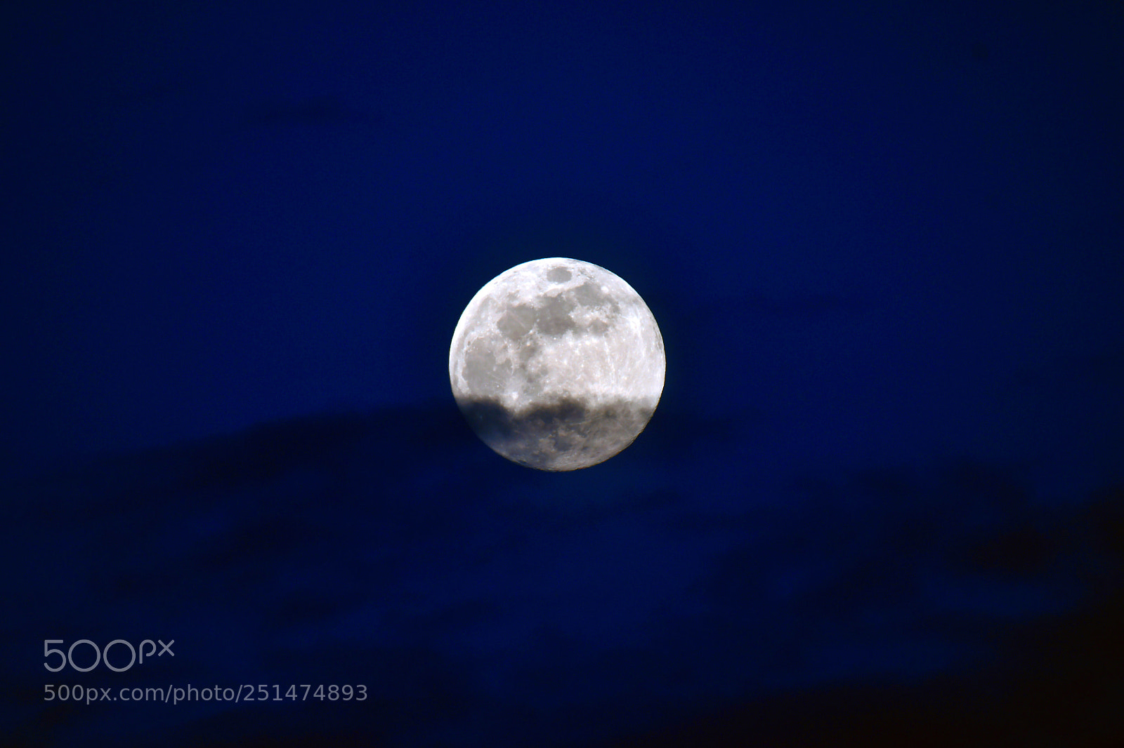 Nikon D500 sample photo. Moonlight photography