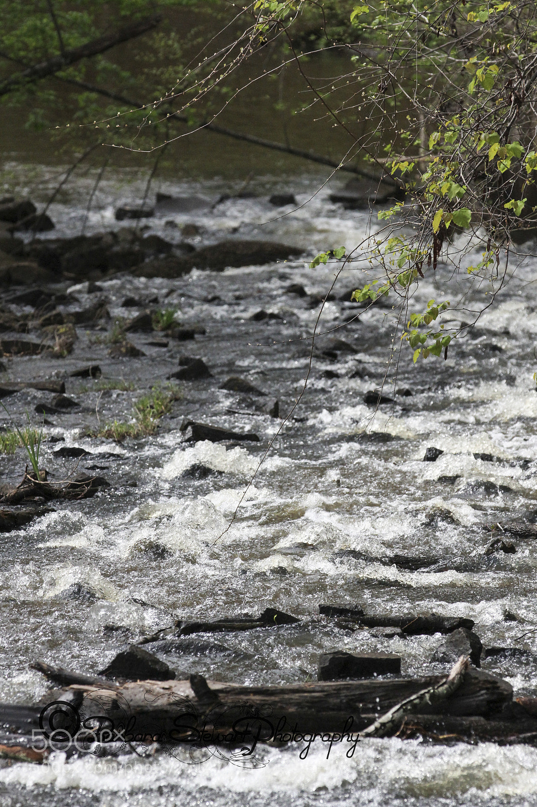 Canon EOS 7D sample photo. Nature in spring photography