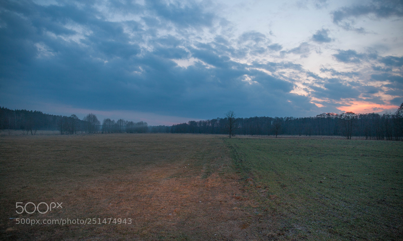 Canon EOS-1Ds Mark III sample photo. Lipnik bralin photography