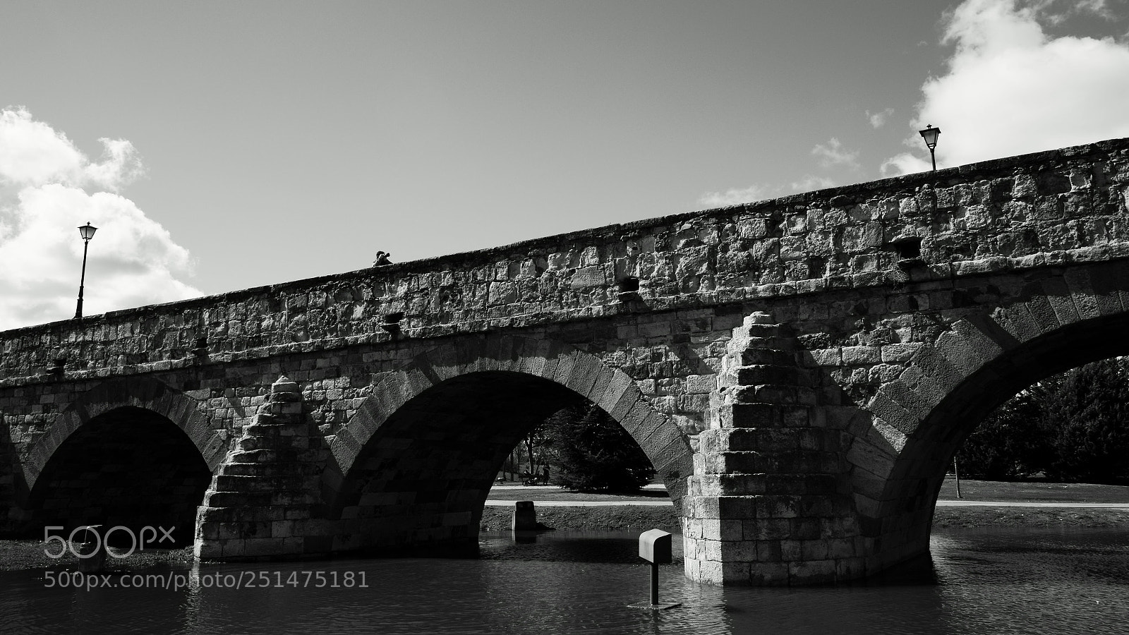 Sony SLT-A58 sample photo. The photographer photography