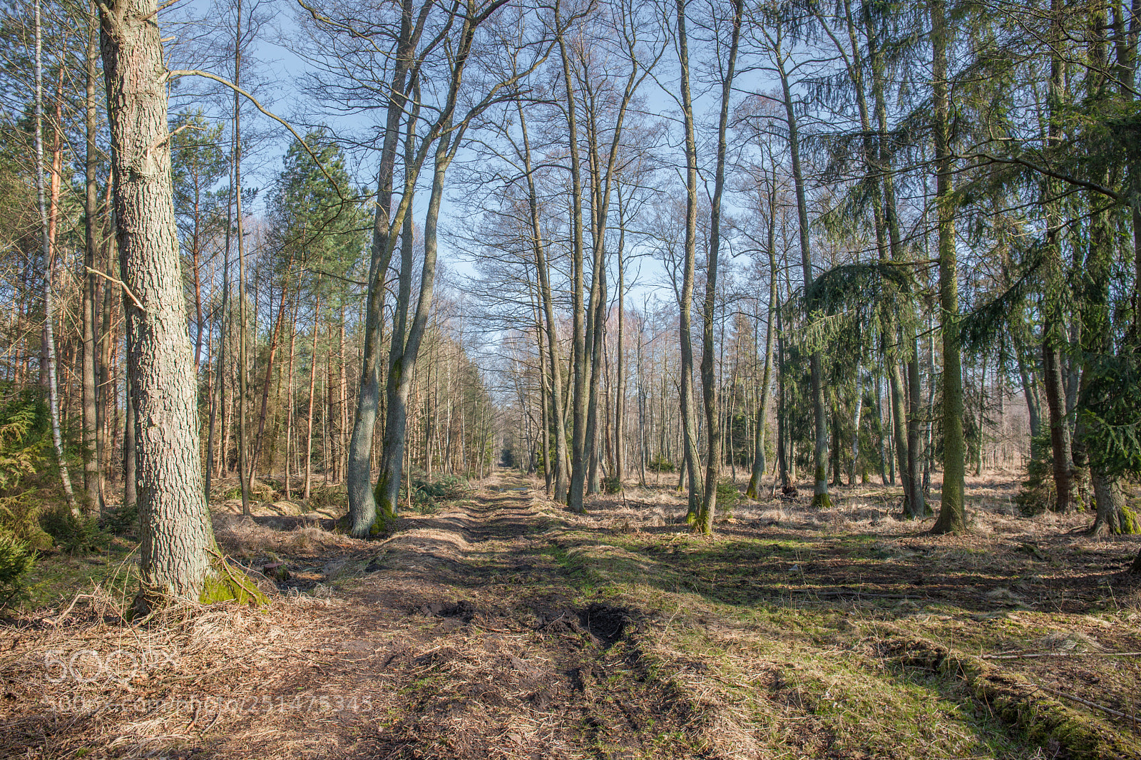 Canon EOS-1Ds Mark III sample photo. Lipnik photography