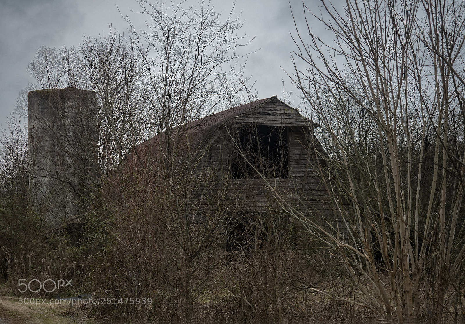Olympus OM-D E-M1 Mark II sample photo. Lost farm photography