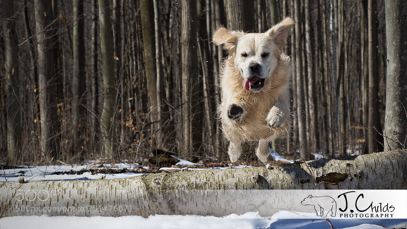 Canon EOS 7D Mark II sample photo. Jump! photography