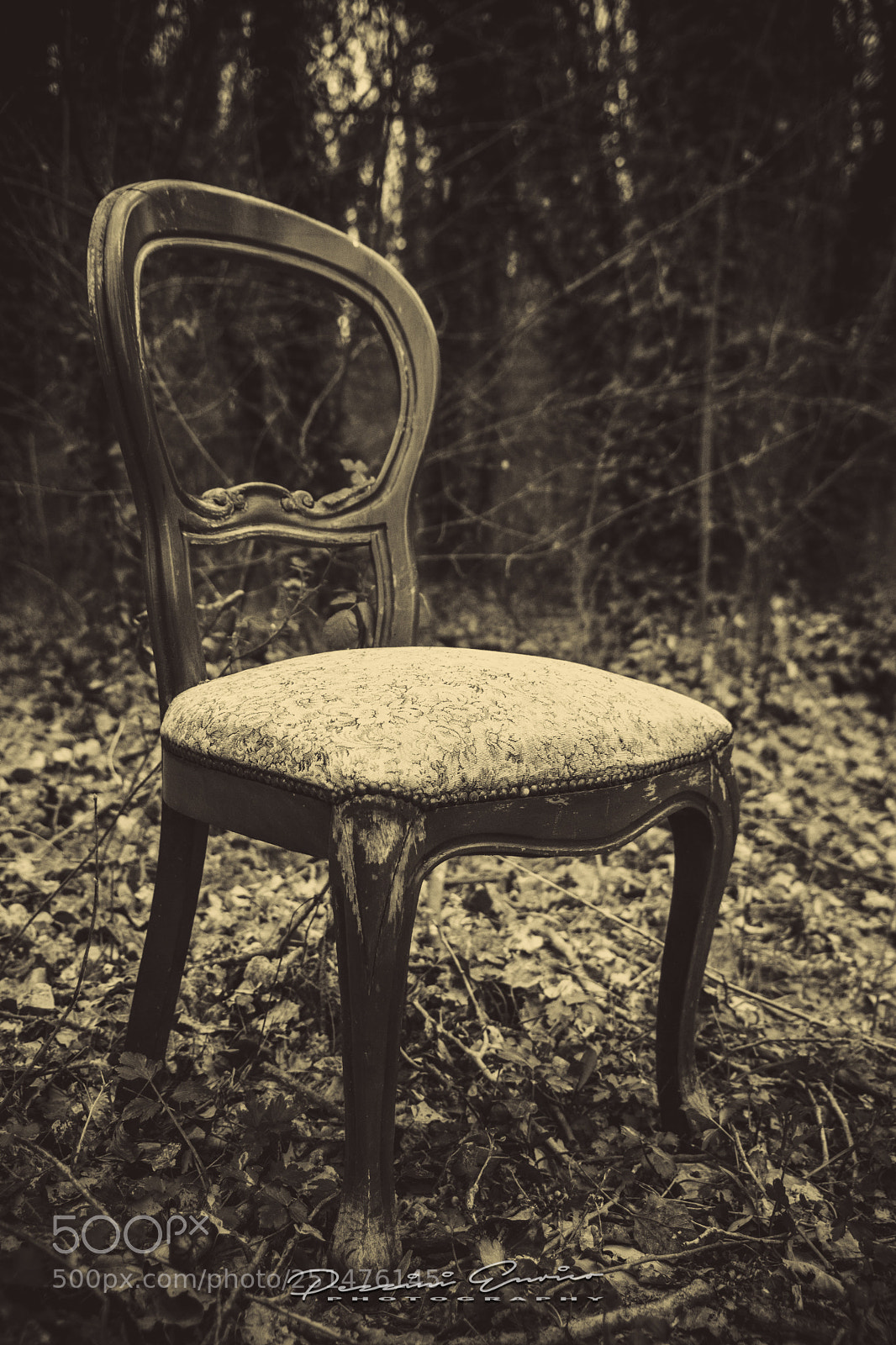 Nikon D500 sample photo. Decadence photography