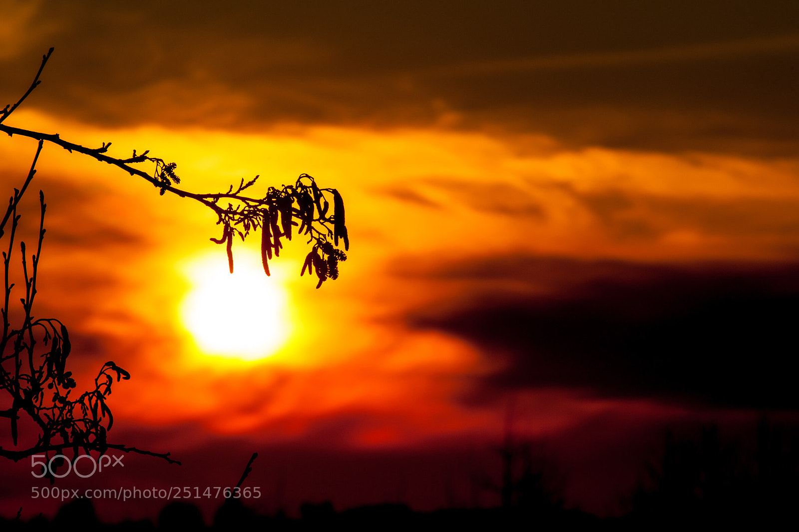 Nikon D3 sample photo. Sun photography