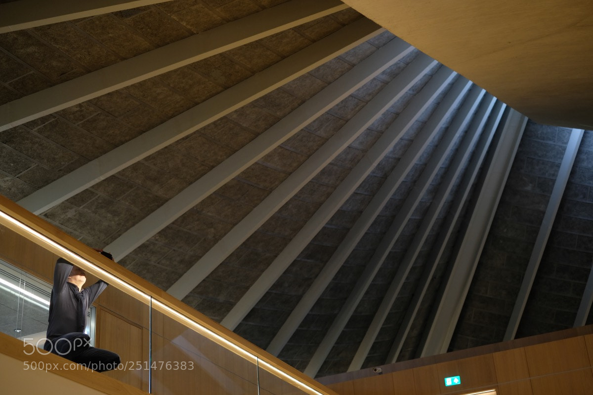 Fujifilm X-T20 sample photo. Stargazer. photography
