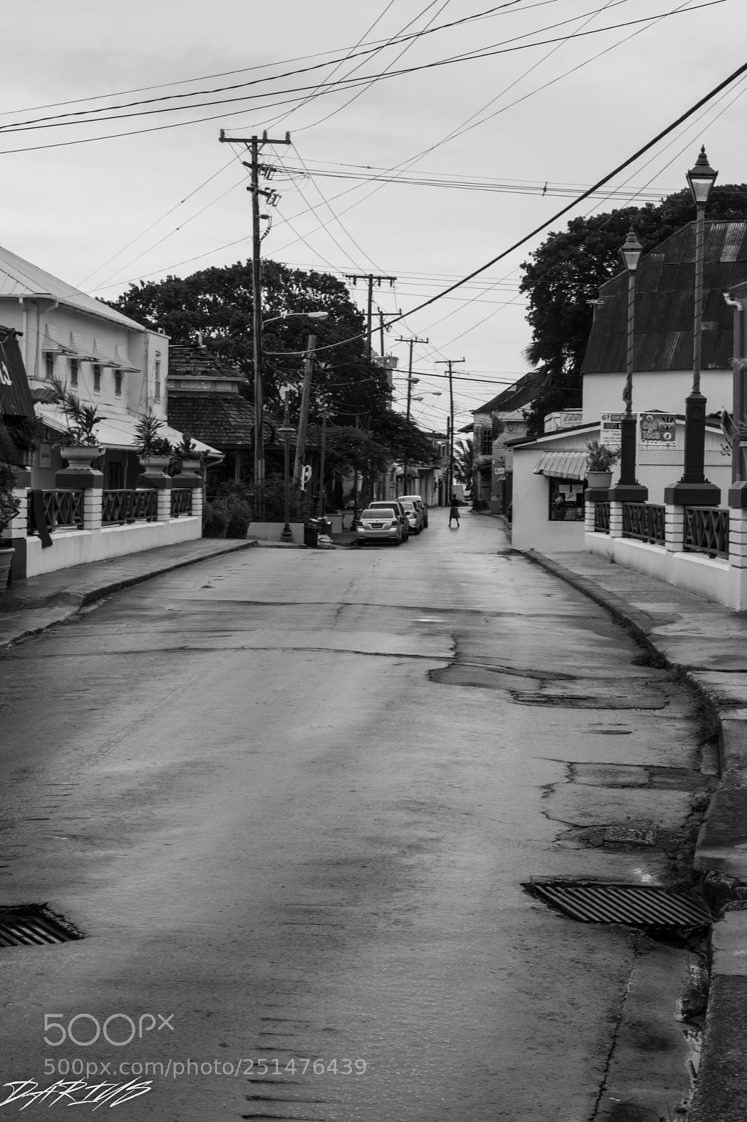 Nikon D3300 sample photo. Black and white photography