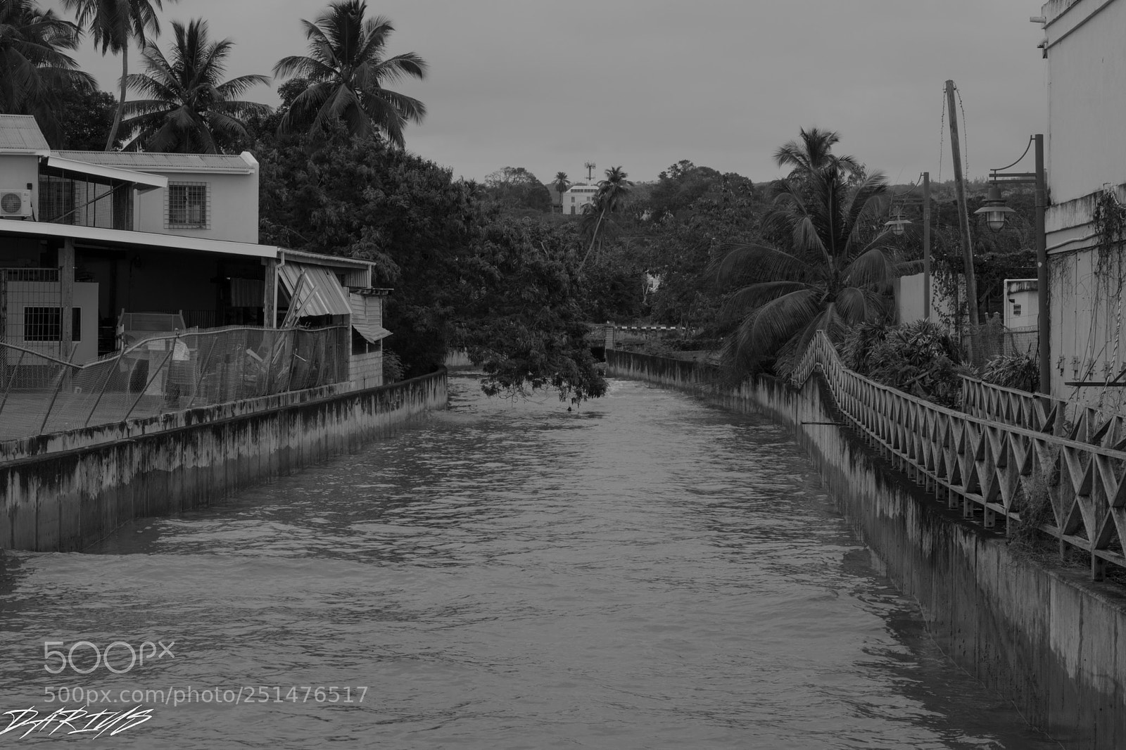 Nikon D3300 sample photo. Black and white photography