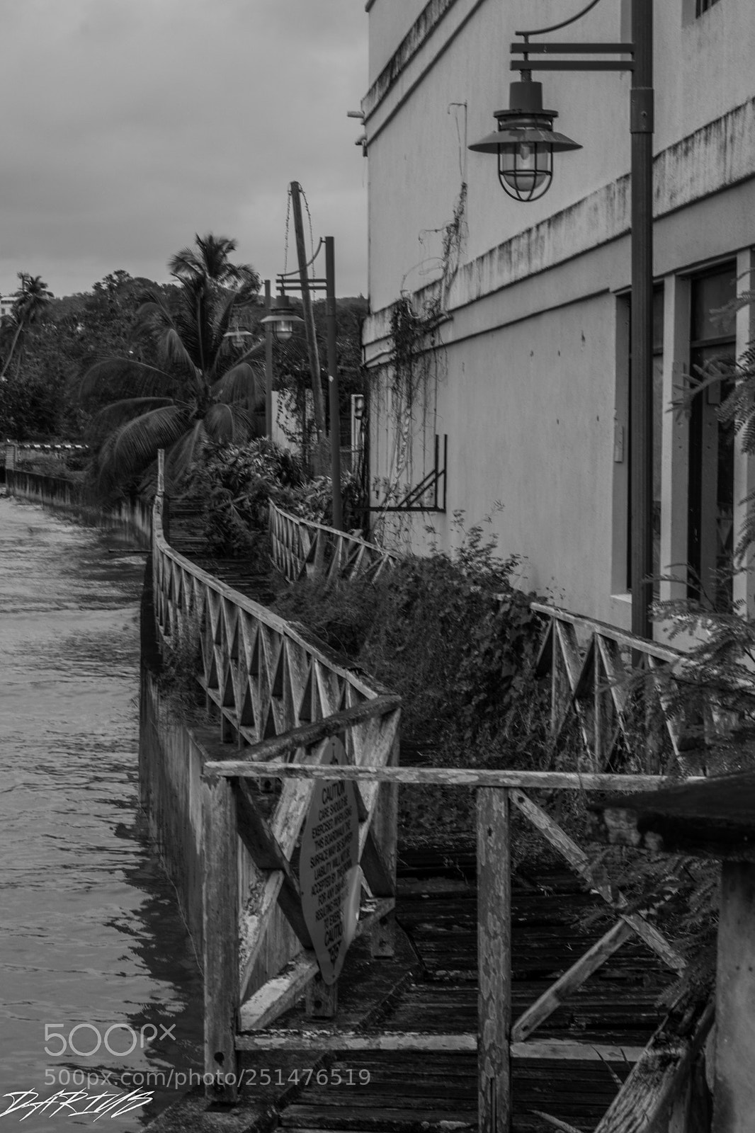 Nikon D3300 sample photo. Black and white photography
