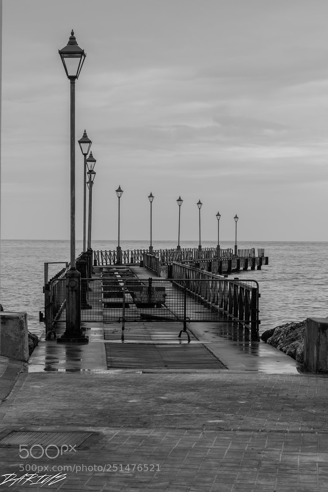 Nikon D3300 sample photo. Black and white photography