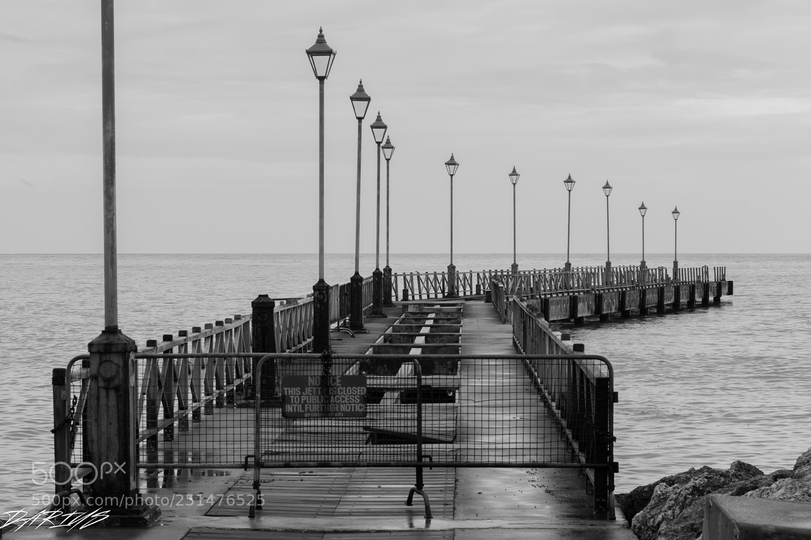 Nikon D3300 sample photo. Black and white photography