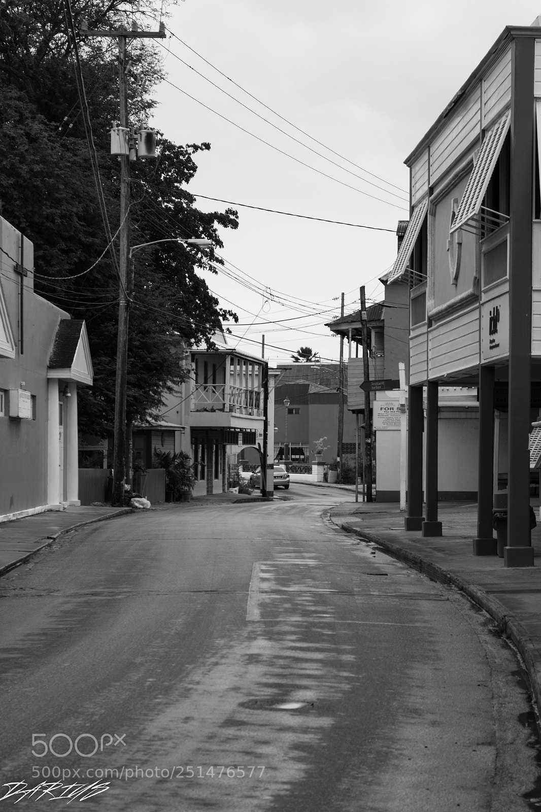 Nikon D3300 sample photo. Black and white photography
