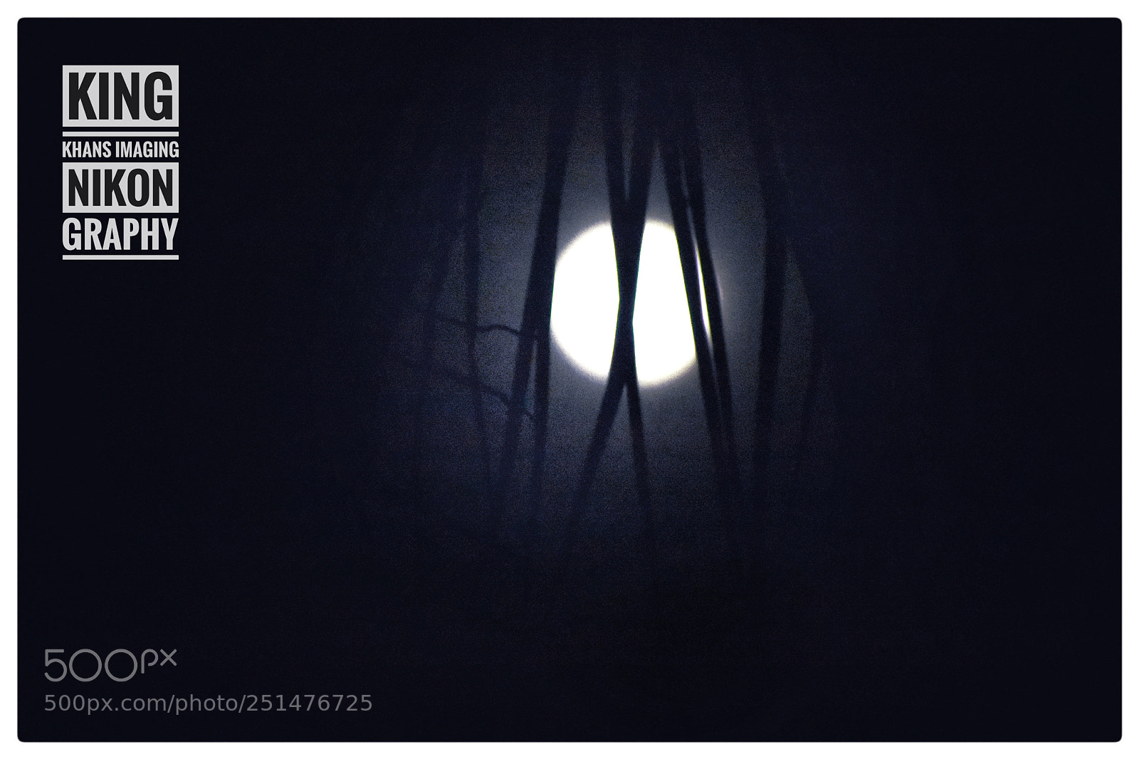 Nikon D3400 sample photo. Moon between coconut tree photography