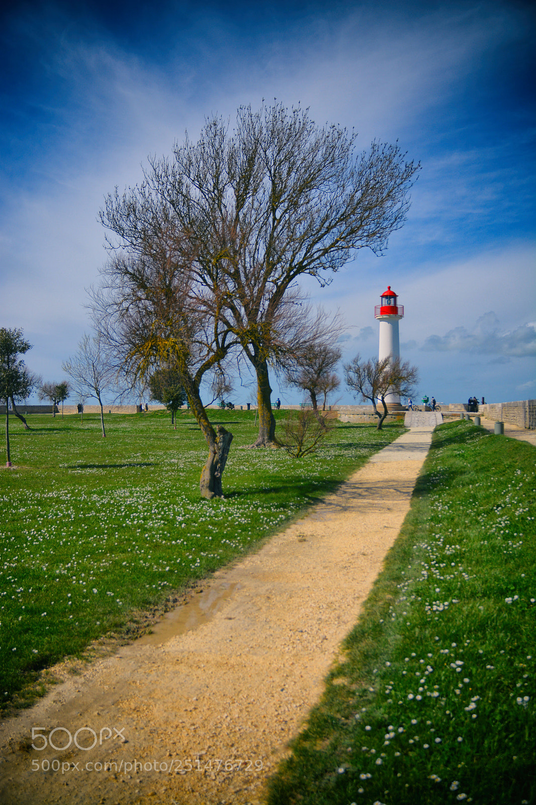 Nikon D7100 sample photo. Saint martin photography