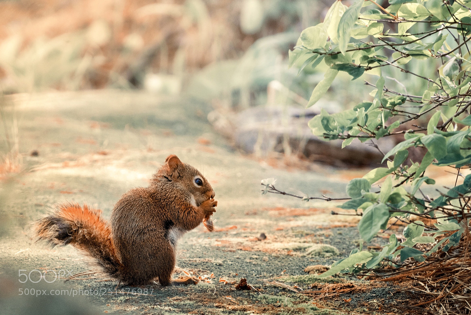 Nikon D810 sample photo. Mmm... photography