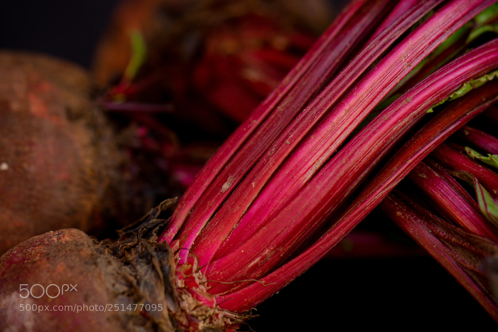 Nikon D5300 sample photo. We got the beet photography