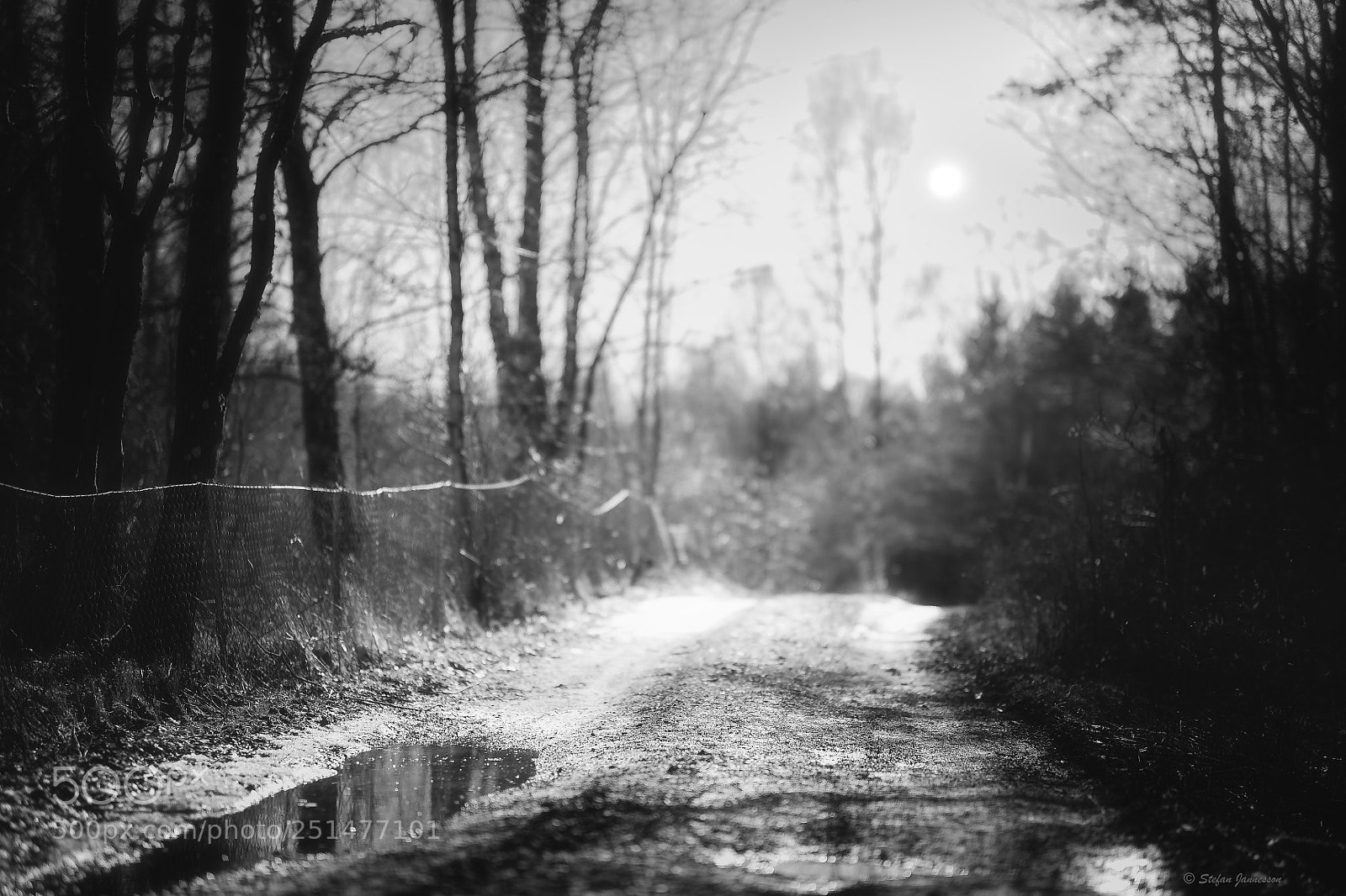 Canon EOS 5DS R sample photo. The hound of heaven photography