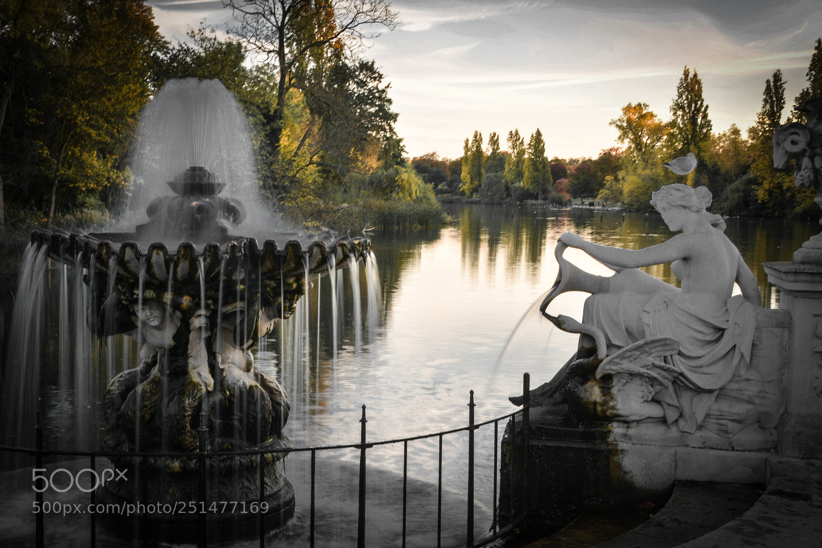 Nikon D7100 sample photo. In the park photography