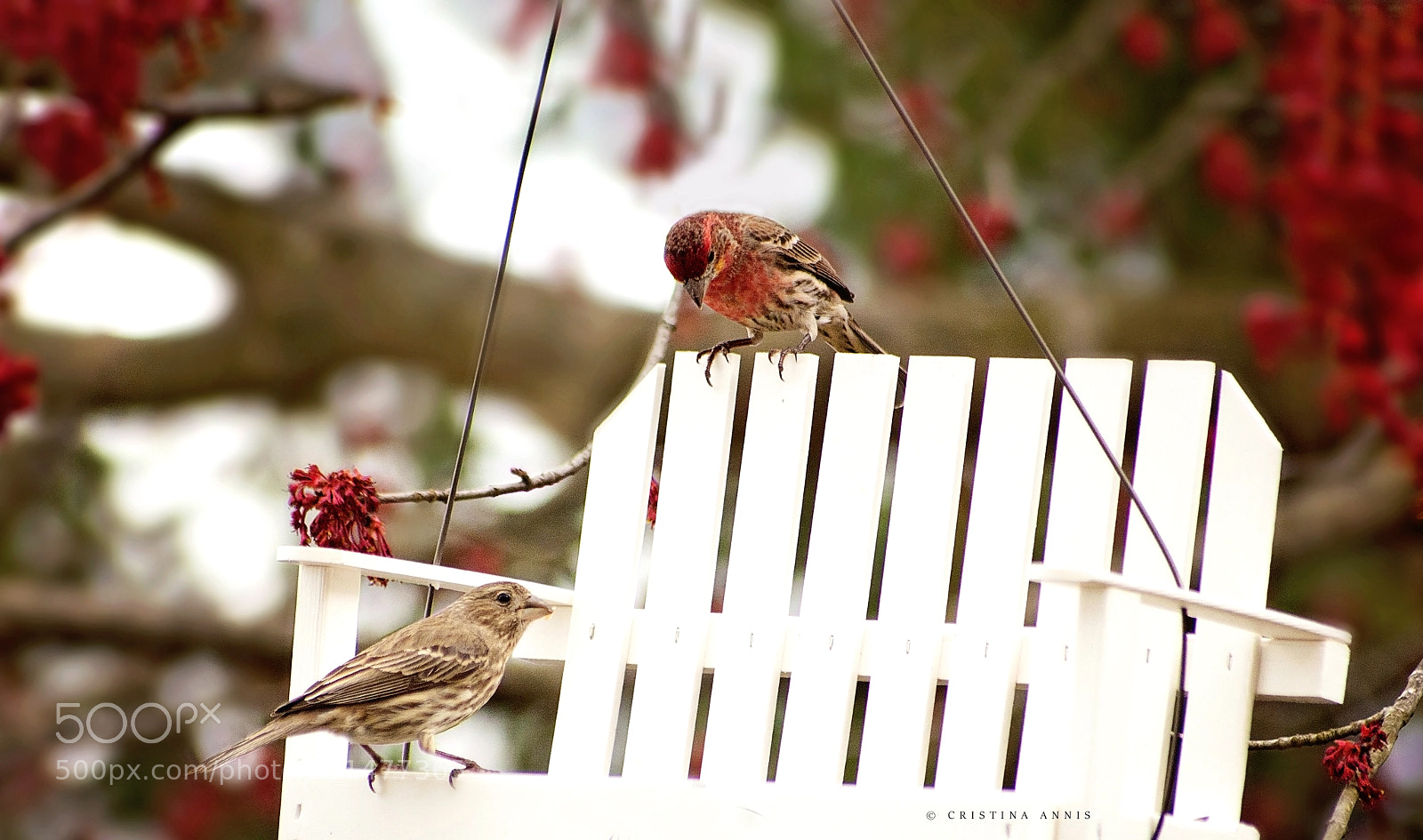 Nikon D90 sample photo. Sharing is caring photography