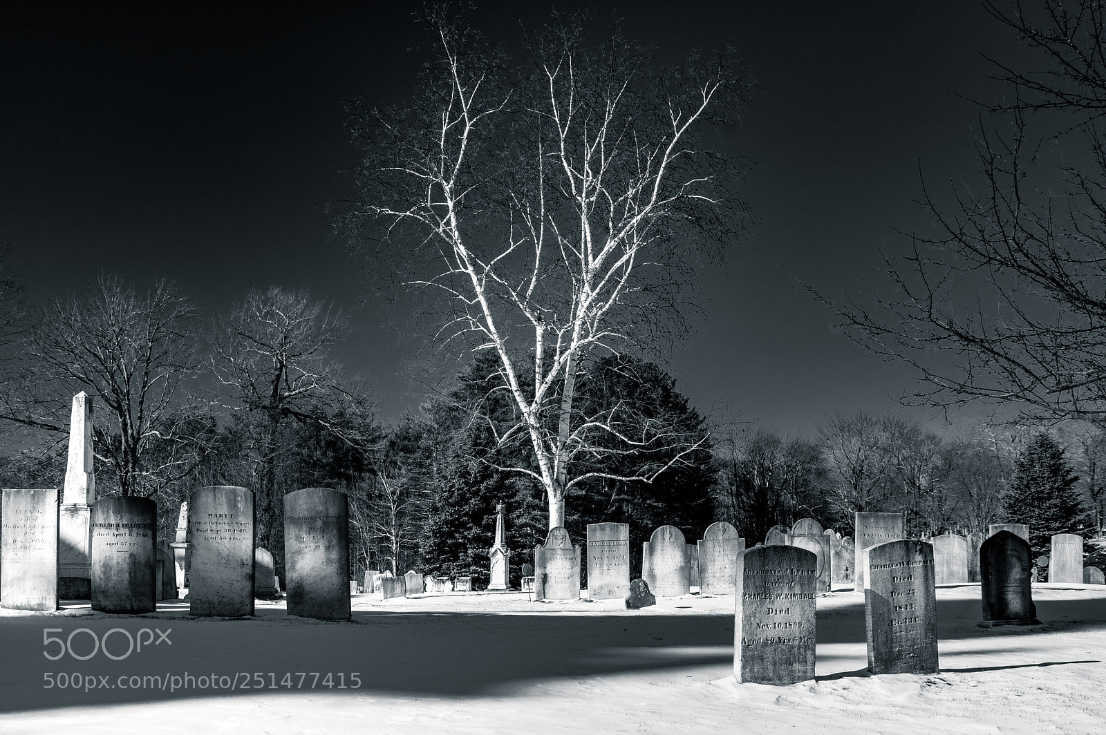 Pentax K-3 sample photo. Grave yard tree photography
