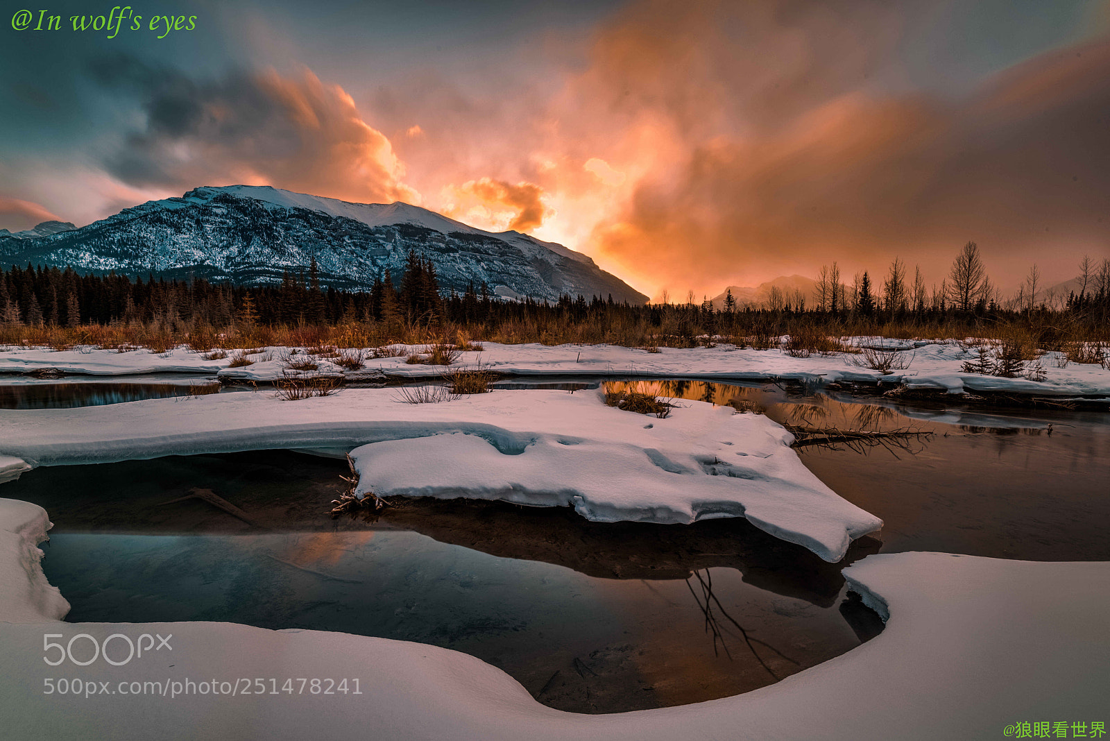 Nikon D810 sample photo. Morning light, canada photography