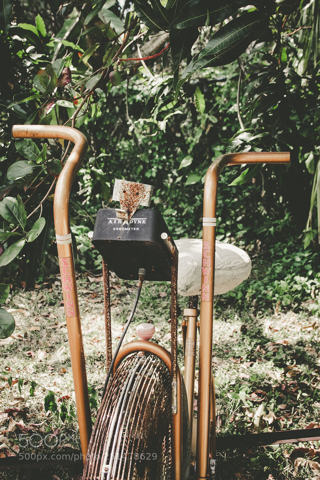 Canon EOS 70D sample photo. Vintage cycle photography
