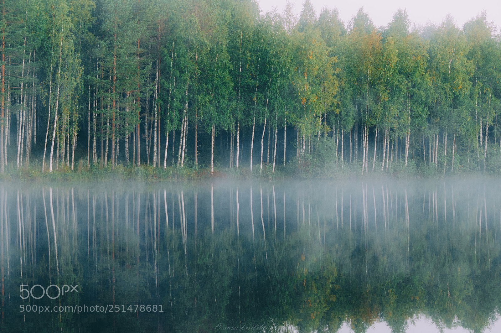 Nikon D300 sample photo. Mist over lake photography