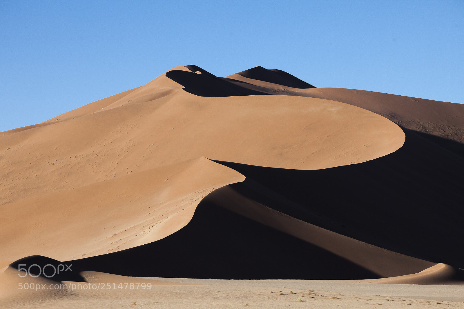Canon EOS 5D Mark II sample photo. Dune photography