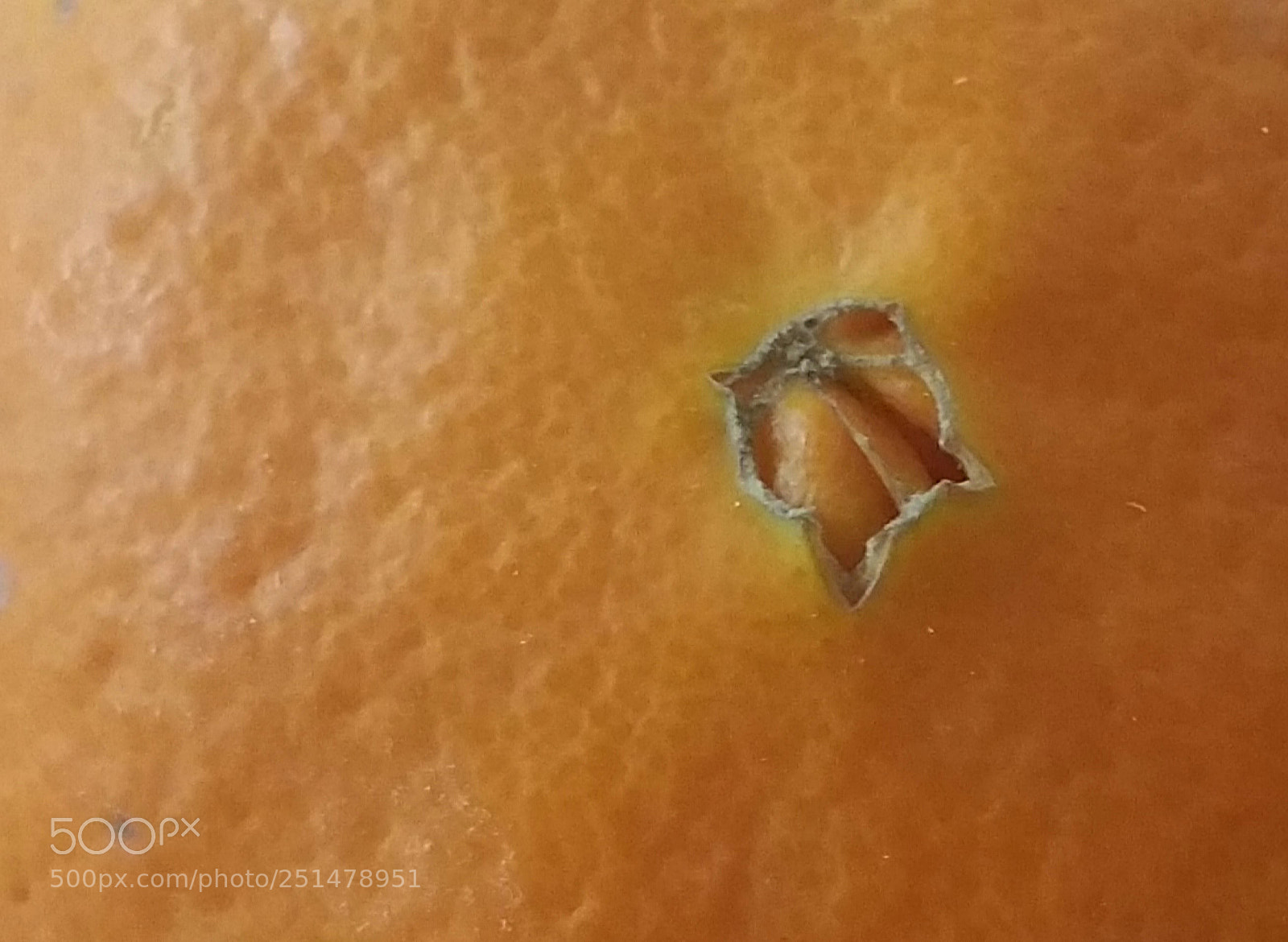 Samsung Galaxy Note4 sample photo. Orange belly button photography
