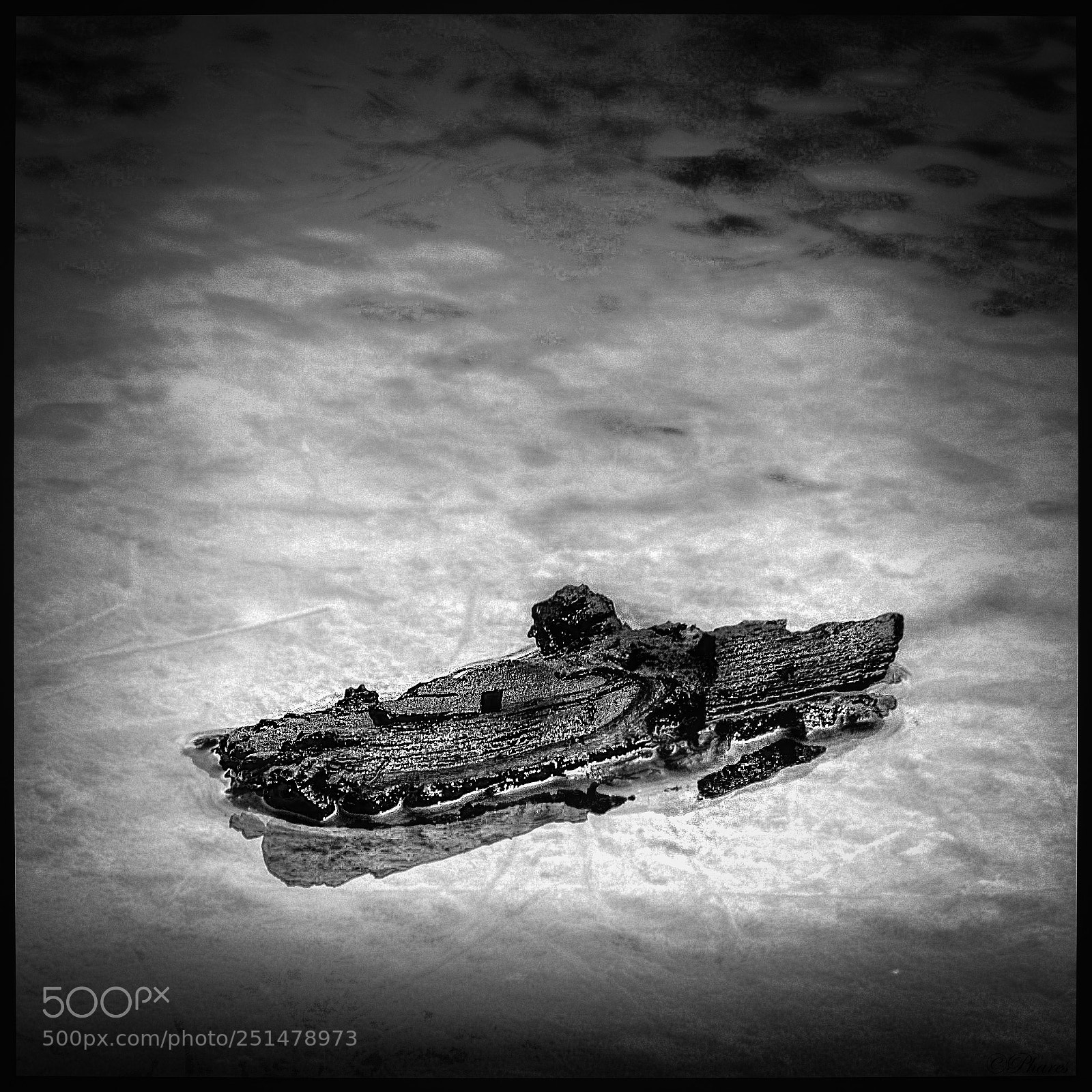 Nikon D7100 sample photo. Driftwood (remake) photography