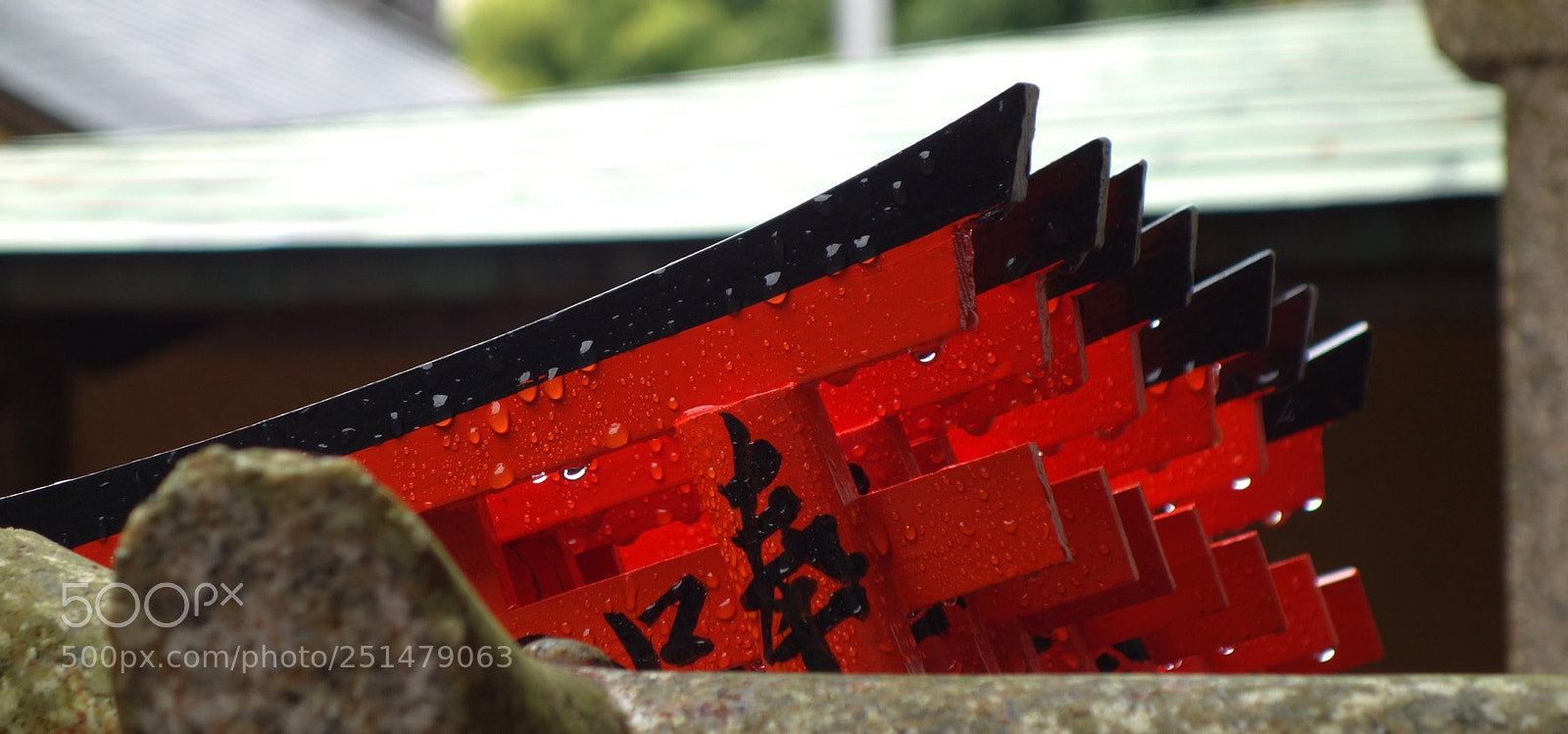 Sony Cyber-shot DSC-RX100 sample photo. Dsc photography