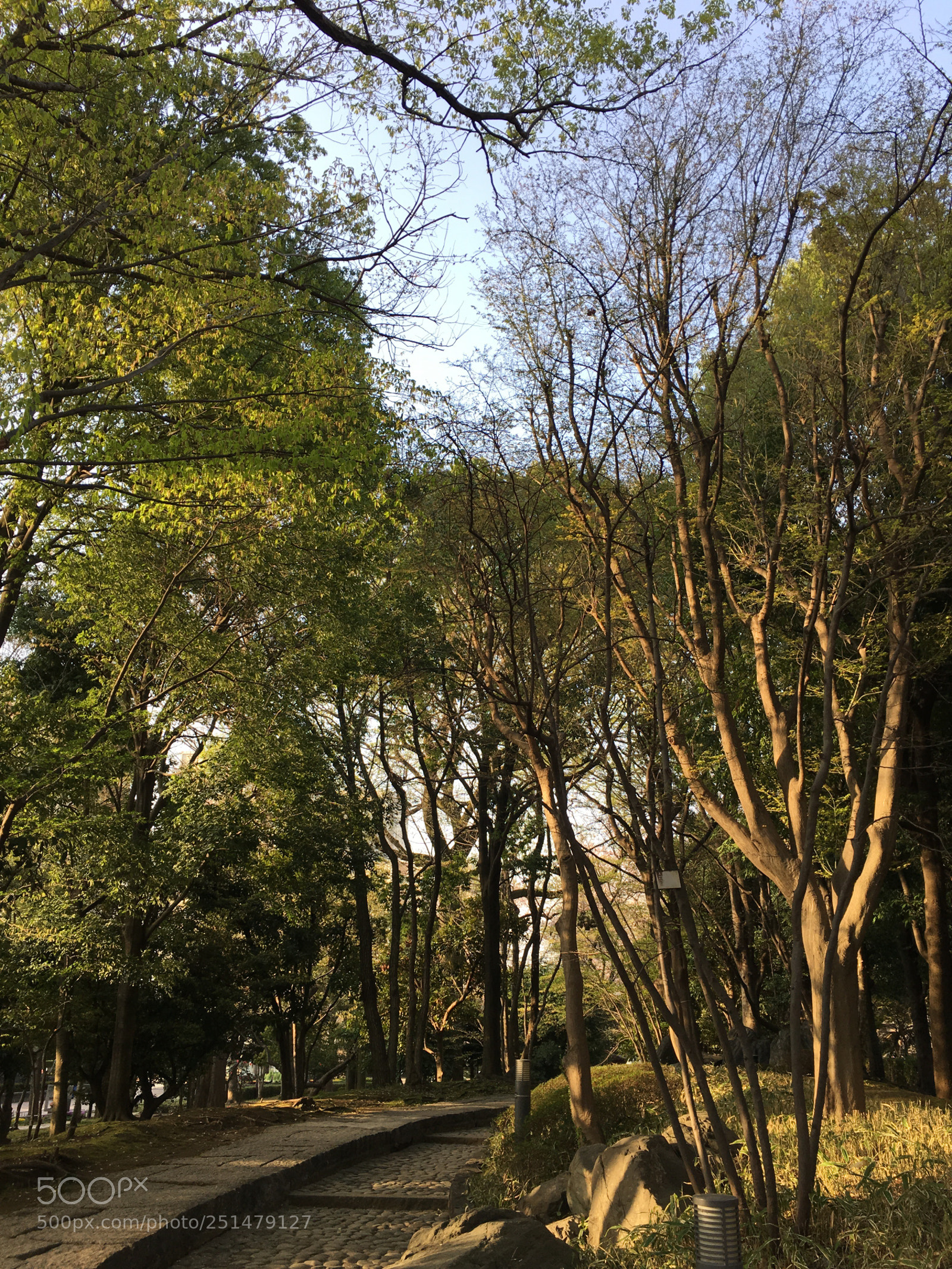 Apple iPhone 6s Plus sample photo. Spring2018 park photography