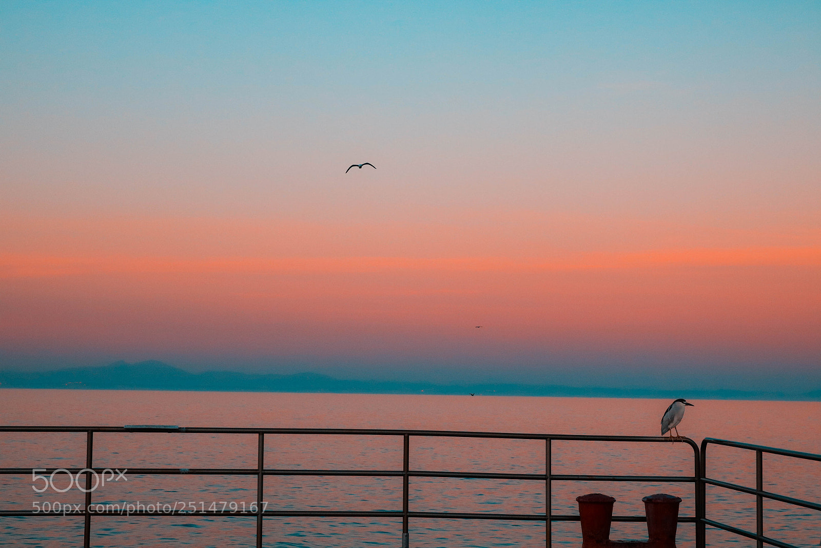 Canon EOS 750D (EOS Rebel T6i / EOS Kiss X8i) sample photo. Catalina island sunset photography