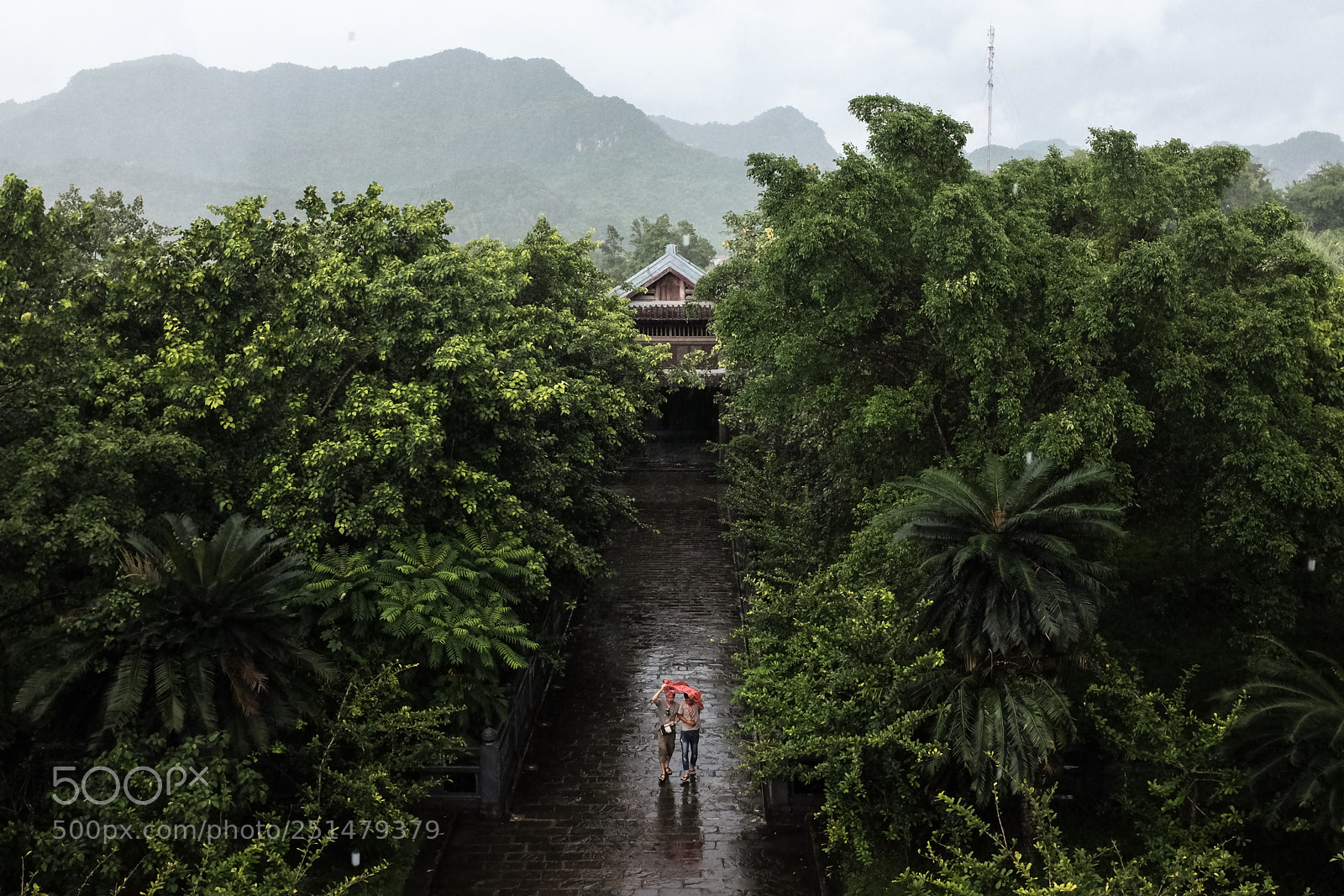 Fujifilm X100T sample photo. Bai dinh (vietnam), 2017. photography