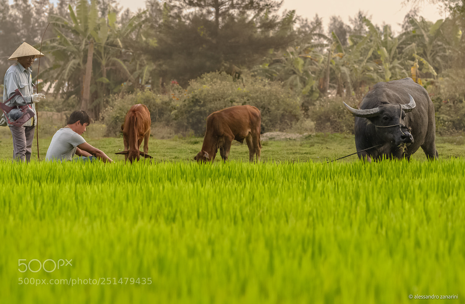 Nikon D7100 sample photo. Rest on a vietnamese photography