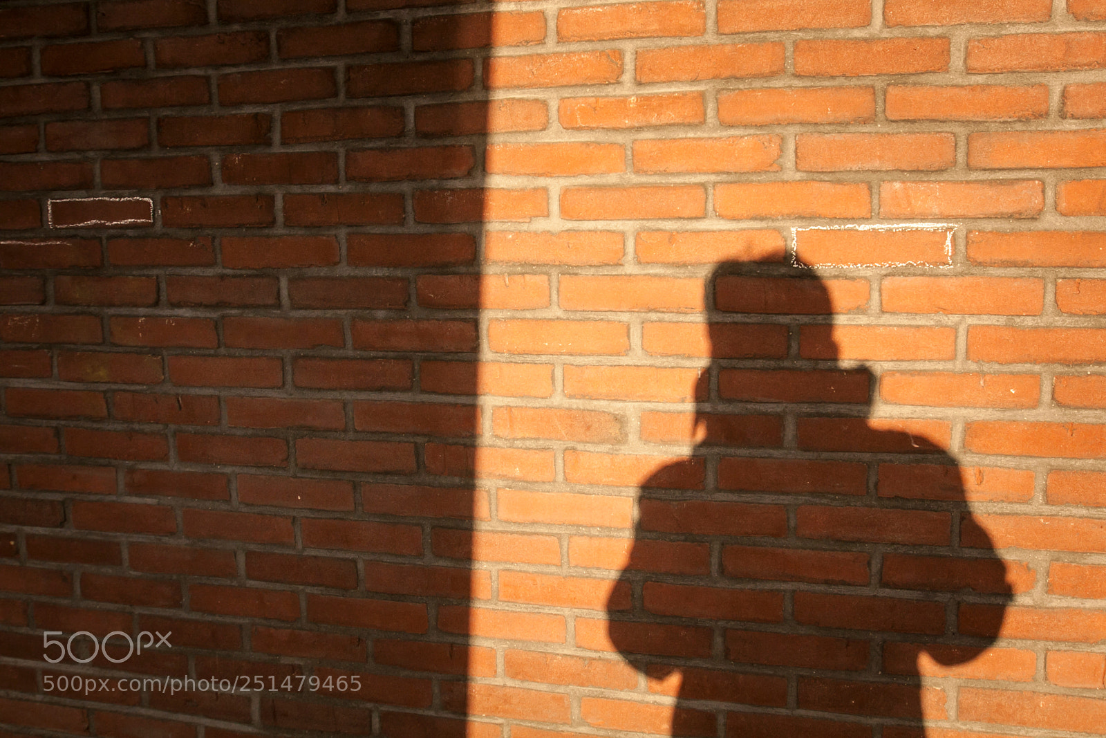 Canon EOS 50D sample photo. Img photography