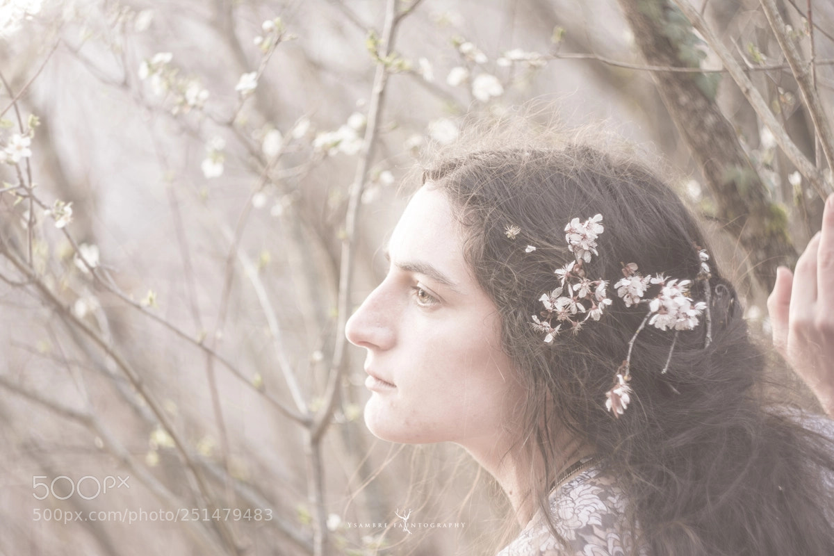 Nikon D7100 sample photo. Prunus photography