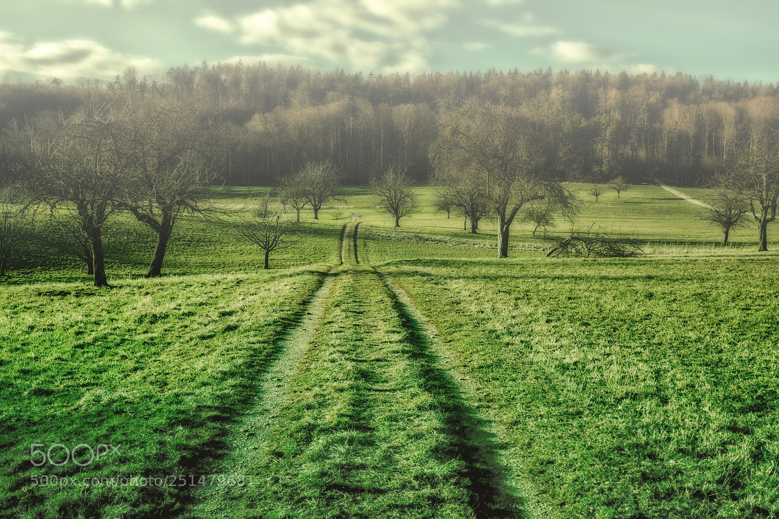 Panasonic DMC-TZ101 sample photo. Landschafts-experiment photography