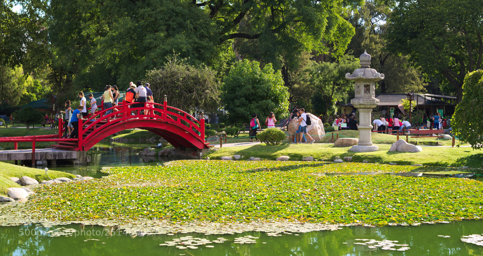Nikon D5100 sample photo. Jard n japon s photography