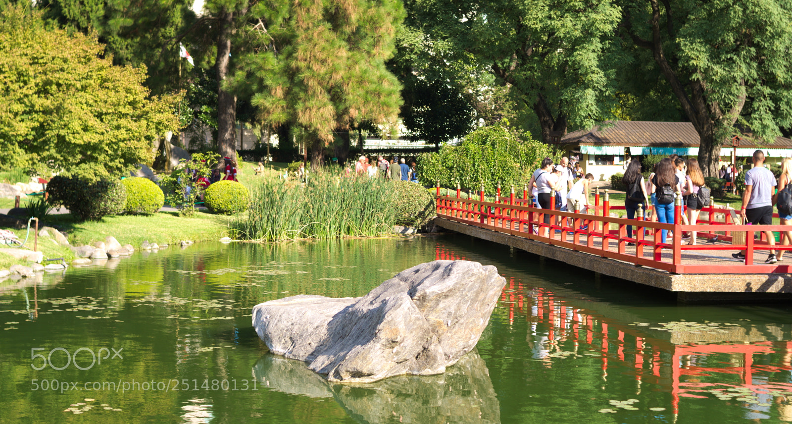 Nikon D5100 sample photo. Jard n japon s photography