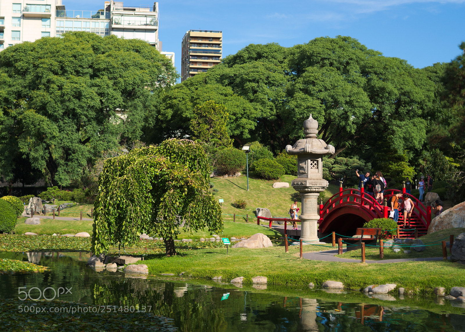Nikon D5100 sample photo. Jard n japon s photography