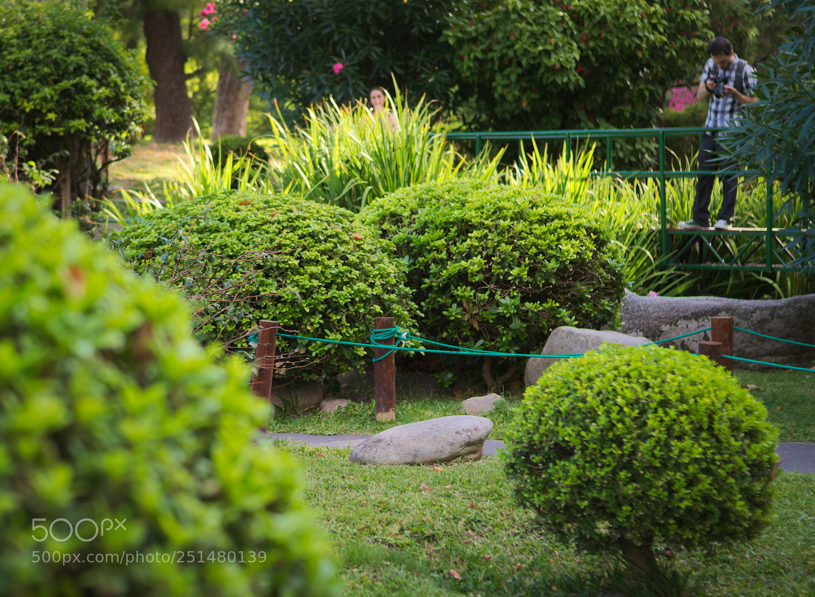 Nikon D5100 sample photo. Jard n japon s photography