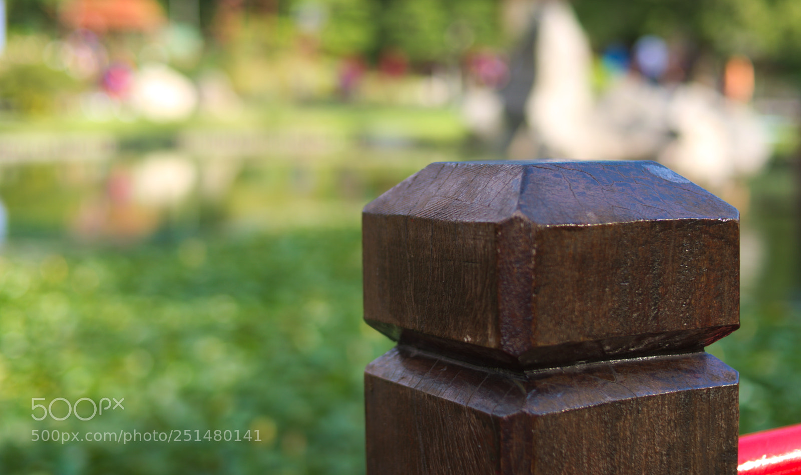 Nikon D5100 sample photo. Jard n japon s photography